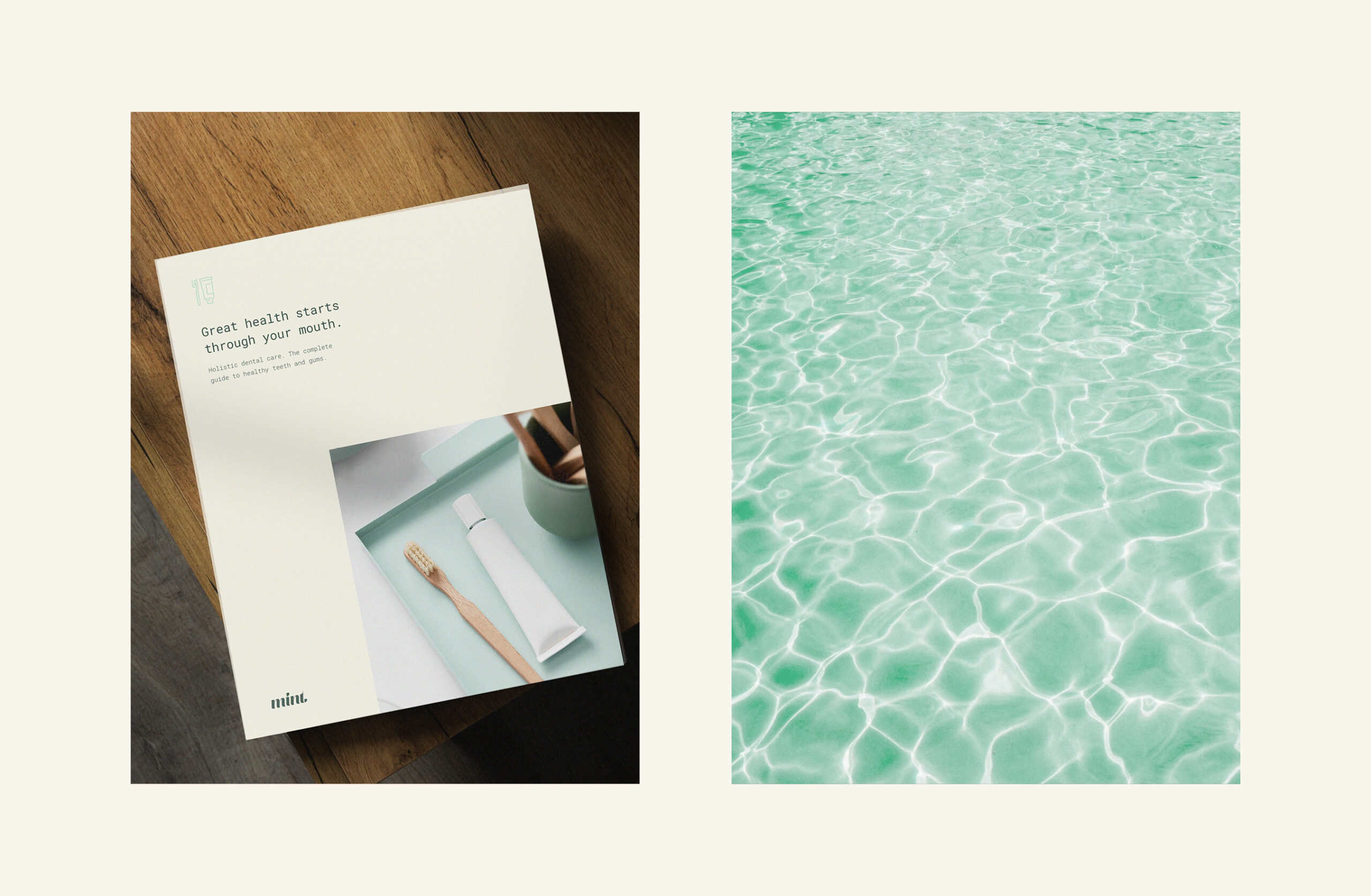 Mint-brochure-design-work-auckland-branding-agency