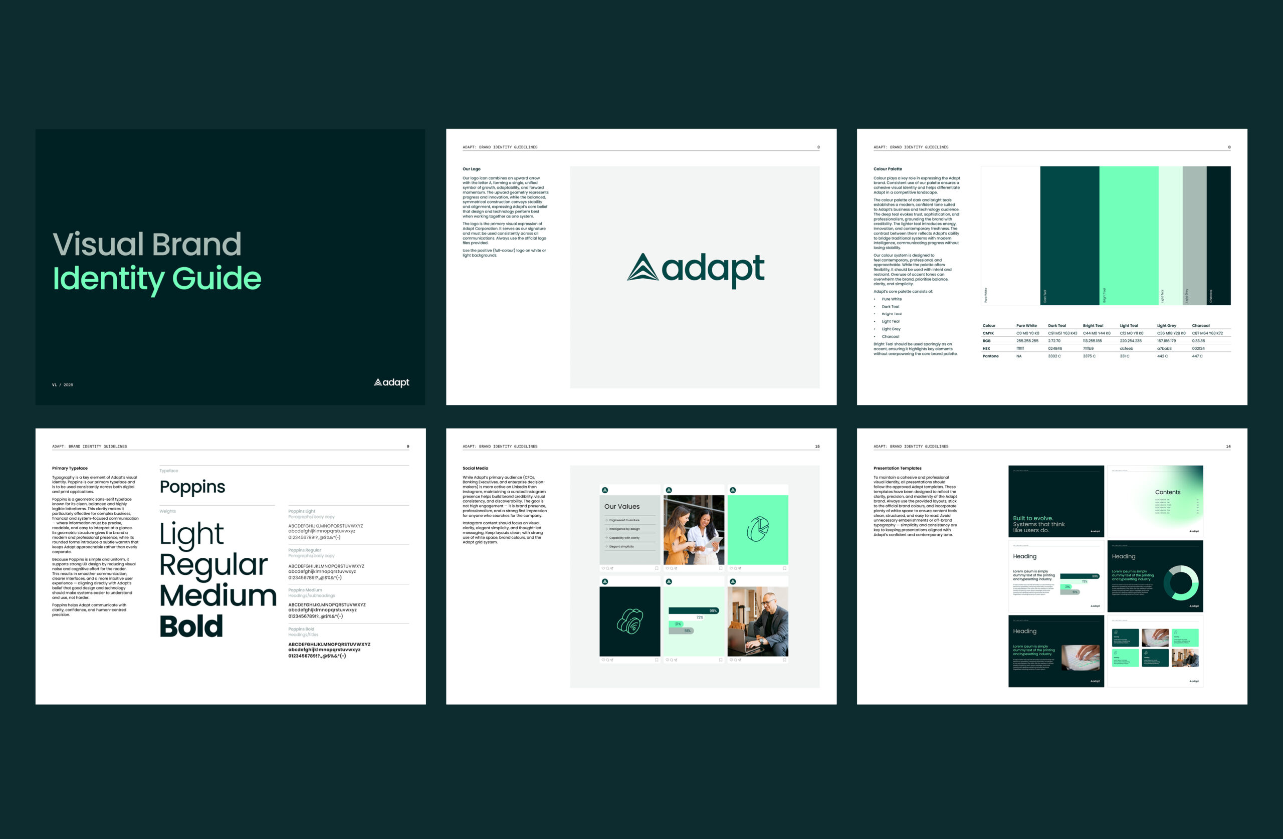 Adapt brand idenity guidelines